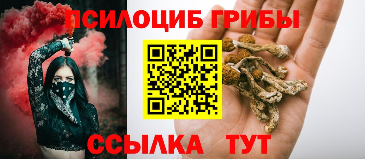 Галлюциногенные грибы GOLDEN TEACHER  Вход с VPN  Тулун 